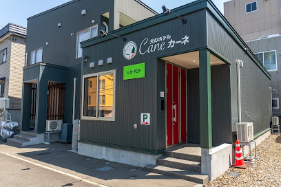 Cane (カーネ), 札幌