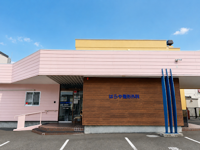 はらや整形外科, 札幌