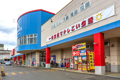 平岸ビッグハウスチャンスセンター, 札幌