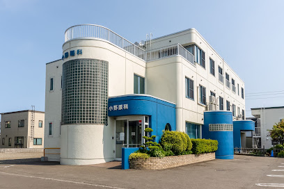 医療法人社団 小野眼科医院, 札幌