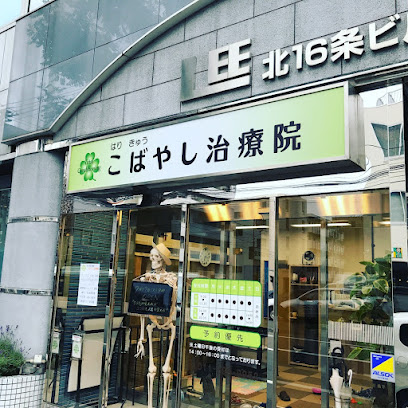 はりきゅう整体 こばやし治療院, 札幌