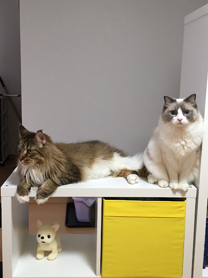 ダズウェル ペットバディ (Dadswell Pet Buddy), 札幌
