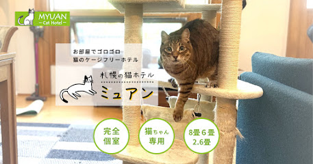 ミュアン, 札幌