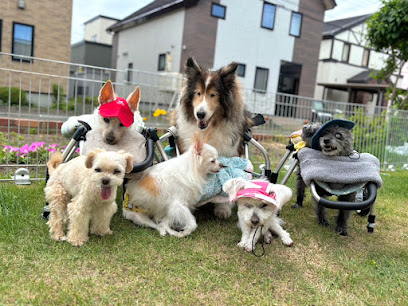 老犬ホーム セタ, 札幌